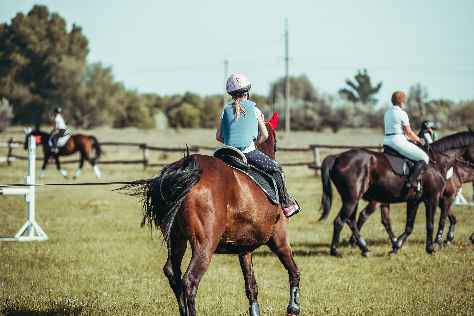 Campo di equitazione
