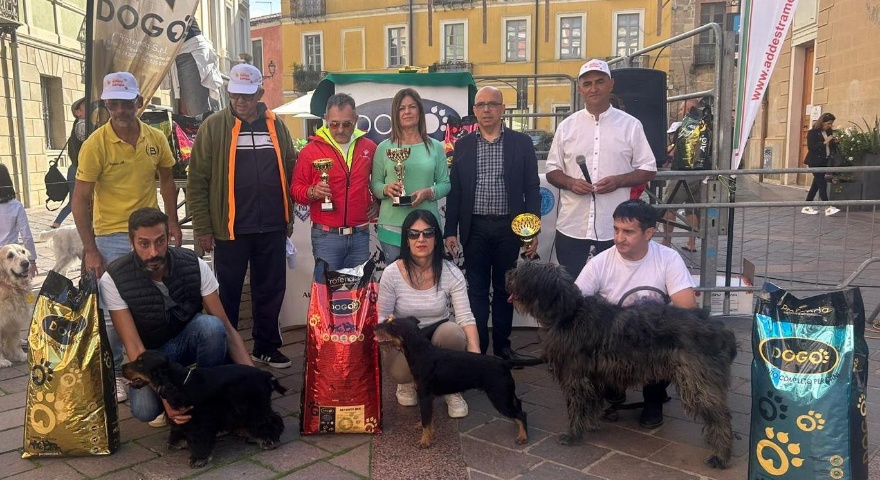 Giornata comunale del cane - Grande partecipazione alla giornata di promozione delle adozioni e contro il randagismo Giornata comunale del cane - Grande partecipazione alla giornata di promozione delle adozioni e contro il randagismo
