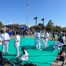 Parco sportivo di Torangius - Esibizione di arti marziali Parco sportivo di Torangius - Esibizione di arti marziali