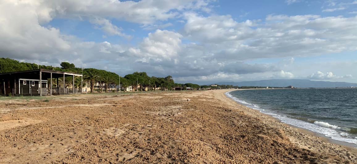 Il sistema dunale della spiaggia di Torre Grande