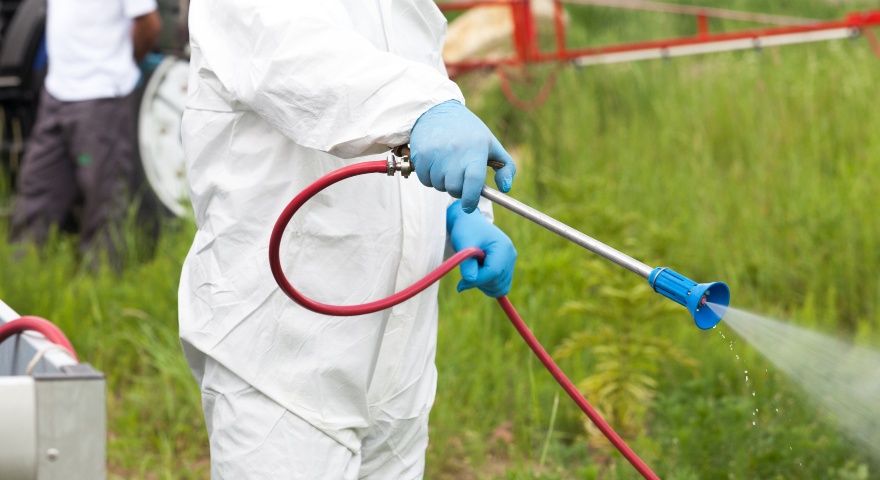 Intervento di disinfestazione Intervento di disinfestazione