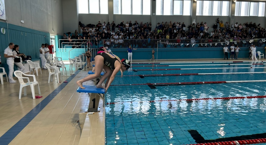 Il Trofeo 4 mori riporta la piscina di Sa Rodia nel circuito del nuoto isolano Il Trofeo 4 mori riporta la piscina di Sa Rodia nel circuito del nuoto isolano